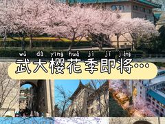 -武汉大学-樱园