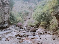 -星巴克(杭州嘉里中心4F店)