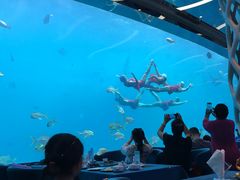 -瑞德姆美人鱼海底演艺主题餐厅(亚龙湾店)