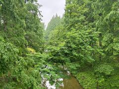 -黄海国家森林公园