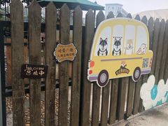 -柴犬高等学院·狗咖·柴犬售卖·宠物训练