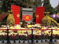 -迎泽公园