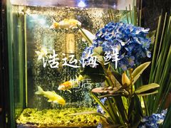 -浩运海鲜·16年专注青岛菜(石老人店)