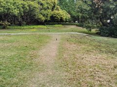 -荔香公园