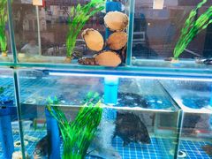 -富临港·蒸汽海鲜·手抓海鲜·炒菜(栈桥店)