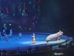 -广州长隆国际大马戏