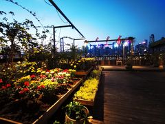 -冰冰龙虾·江湖菜·花园江景餐厅