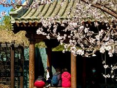 -三里河公园