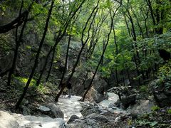 android_upload_pic-北京上方山国家森林公园