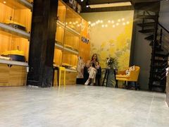 -欣宠猫屋·矮脚拿破仑·蓝金金渐层