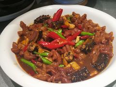 -张鸟园农家乐(张鸟园店)