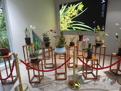 -野象谷景区