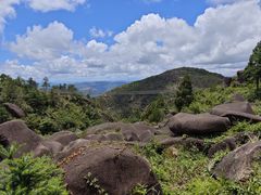 -玉苍山国家森林公园