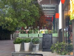 -东哥紫阳蒸盆子(旺座·现代城店)