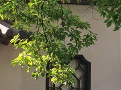 -郑和公园