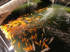 -黎记大排档(慈云路店)