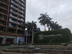 -三亚湾红树林度假世界(木棉酒店)