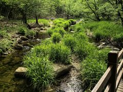 -洛阳白云山景区