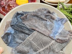 -阳阳老火锅(小南门店)