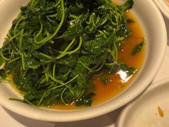 酒香金花菜-老阊门菜馆(山塘街店)