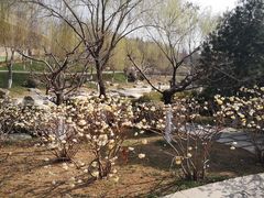 -鹦鹉寺公园