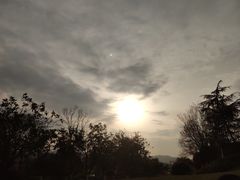 -铁山坪森林公园