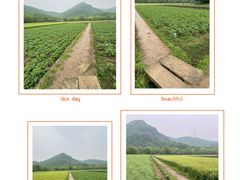 -八卦田遗址公园