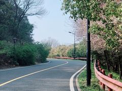 -宝界山林公园