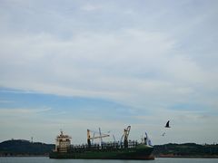 -海驴岛(荣成市)
