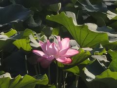 -哈尔滨师范大学(松北校区)