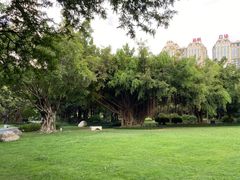 -南宁南湖公园