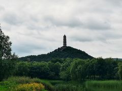-北坞公园