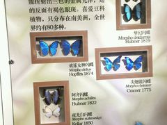 android_upload_pic-上海大自然野生昆虫馆