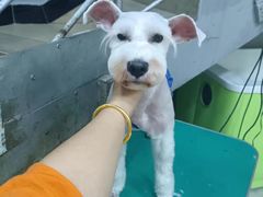 -汤姆宠物(长青北路店)