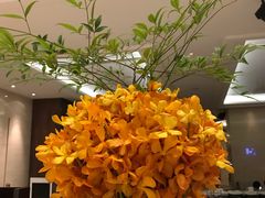 -新发展亚太JW万豪酒店·福苑咖啡厅
