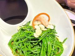 -蒙料·手把肉(望京店)