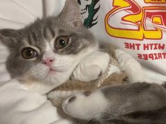 -安安宠医·安宠宠物医院