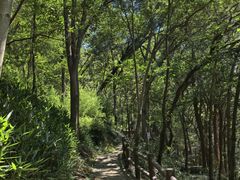 -上海佘山国家森林公园天马山园