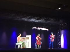 -米兰马尔彭萨国际机场