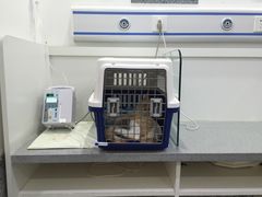 -萌兽医馆·绝育·24小时内科·宠物医院(德胜店)