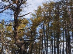 -白草畔自然风景区