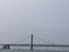 -星海广场