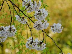 -宁波大学附属第一医院(外滩院区)