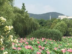 -江南大学(蠡湖校区)
