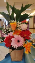 -喜宝母婴月子会所