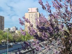 -知春路(地铁站)