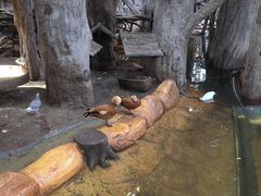 -长鹿旅游休博园