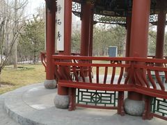 -迎泽公园