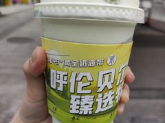 -茉酸奶(春熙路店)