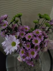 -SILKTONE诗丽堂美容